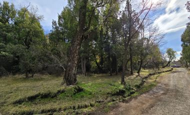 TERRENO DE 1 Ha EN PARQUE LAGUNA BRYCHAN