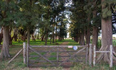Propiedad de 2.39 ha, ubicada en Barrio Chacras sobre Calle Sánchez Espuelas - Monte