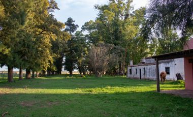 Propiedad de 2.39 ha, ubicada en Barrio Chacras sobre Calle Sánchez Espuelas - Monte