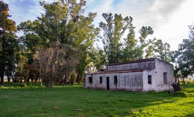 Propiedad de 2.39 ha, ubicada en Barrio Chacras sobre Calle Sánchez Espuelas - Monte
