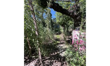 Propiedad ubicada en la esquina de Blandengues y Sayos - Monte