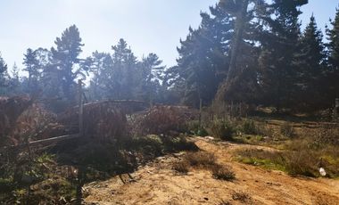 Terreno para proyecto de loteo en El Puquio, El Tabo