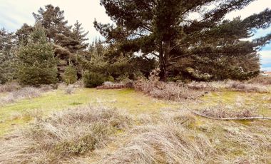 Terreno para proyecto de loteo en El Puquio, El Tabo