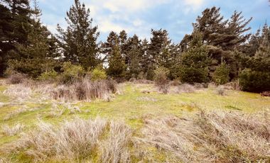 Terreno para proyecto de loteo en El Puquio, El Tabo
