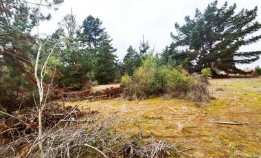Terreno para proyecto de loteo en El Puquio, El Tabo