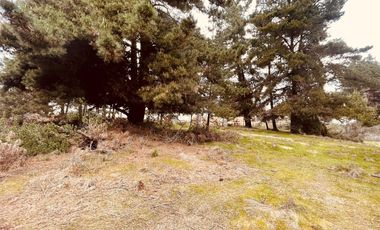 Terreno para proyecto de loteo en El Puquio, El Tabo