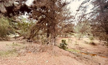 Terreno para proyecto de loteo en El Puquio, El Tabo