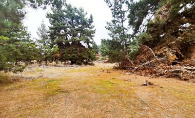 Terreno para proyecto de loteo en El Puquio, El Tabo