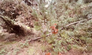 Terreno para proyecto de loteo en El Puquio, El Tabo