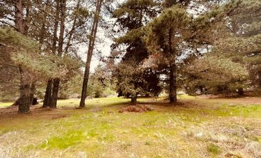 Terreno para proyecto de loteo en El Puquio, El Tabo
