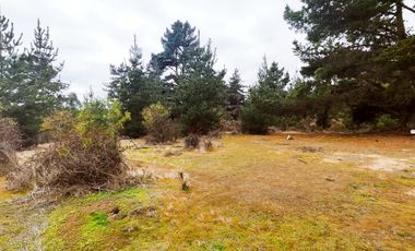 Terreno para proyecto de loteo en El Puquio, El Tabo