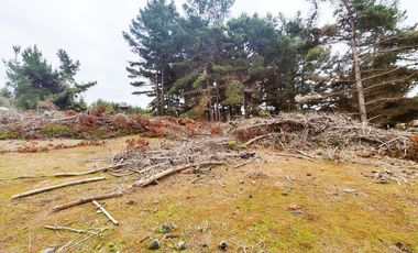 Terreno para proyecto de loteo en El Puquio, El Tabo