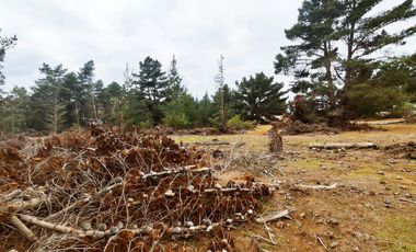 Terreno para proyecto de loteo en El Puquio, El Tabo