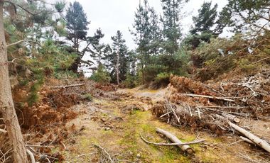 Terreno para proyecto de loteo en El Puquio, El Tabo