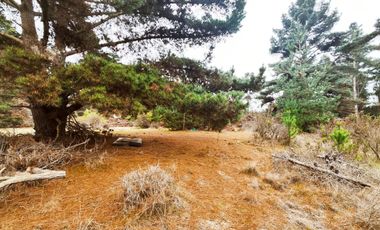 Terreno para proyecto de loteo en El Puquio, El Tabo