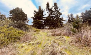 Terreno para proyecto de loteo en El Puquio, El Tabo