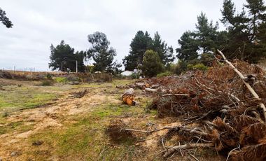 Terreno para proyecto de loteo en El Puquio, El Tabo