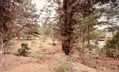 Terreno para proyecto de loteo en El Puquio, El Tabo