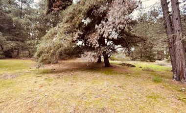 Terreno para proyecto de loteo en El Puquio, El Tabo