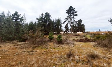 Terreno para proyecto de loteo en El Puquio, El Tabo