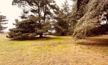 Terreno para proyecto de loteo en El Puquio, El Tabo