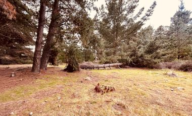 Terreno para proyecto de loteo en El Puquio, El Tabo