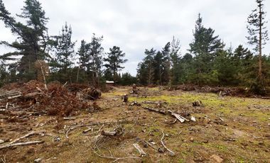 Terreno para proyecto de loteo en El Puquio, El Tabo