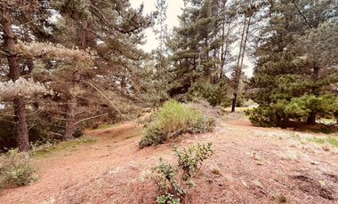 Terreno para proyecto de loteo en El Puquio, El Tabo