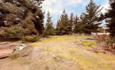 Terreno para proyecto de loteo en El Puquio, El Tabo