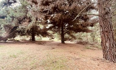 Terreno para proyecto de loteo en El Puquio, El Tabo