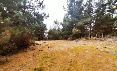 Terreno para proyecto de loteo en El Puquio, El Tabo