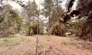 Terreno para proyecto de loteo en El Puquio, El Tabo