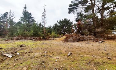 Terreno para proyecto de loteo en El Puquio, El Tabo