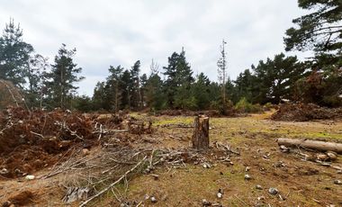 Terreno para proyecto de loteo en El Puquio, El Tabo