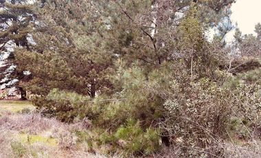 Terreno para proyecto de loteo en El Puquio, El Tabo