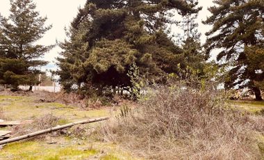 Terreno para proyecto de loteo en El Puquio, El Tabo