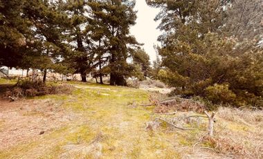 Terreno para proyecto de loteo en El Puquio, El Tabo