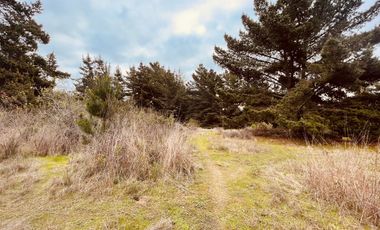 Terreno para proyecto de loteo en El Puquio, El Tabo