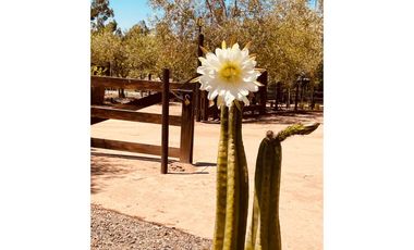 Gran Casa en San Jose, Algarrobo