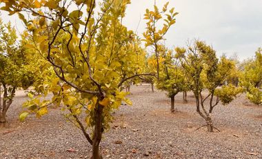 Gran Casa en San Jose, Algarrobo