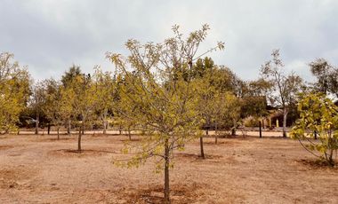 Gran Casa en San Jose, Algarrobo