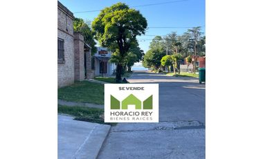 Propiedad ubicada en la esquina de Rivadavia y Pinazo - Monte