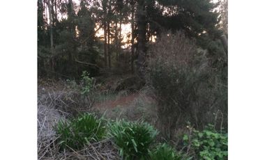 Hermosa y amplia casa en condominio Los Pitigues, Algarrobo