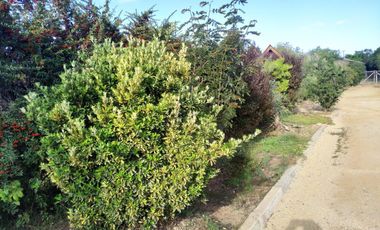 Hermosa y amplia casa en condominio Los Pitigues, Algarrobo