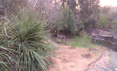 Hermosa y amplia casa en condominio Los Pitigues, Algarrobo