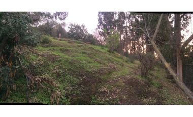 Hermosa y amplia casa en condominio Los Pitigues, Algarrobo