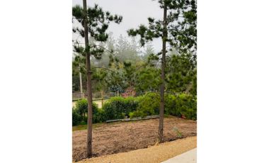 Venta Los Centinelas, Algarrobo