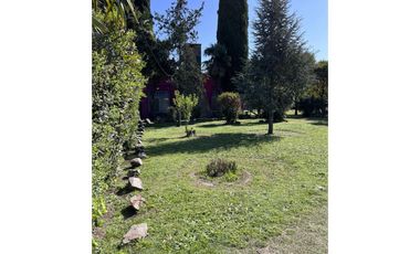 Importante Salón de Fiestas + Pileta  + Lote -- Monte
