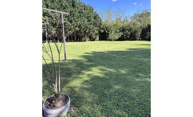 Importante Salón de Fiestas + Pileta  + Lote -- Monte