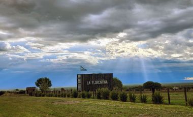 VENDO LOTE AMPLIO EN LA FLORENTINA-LA PUNTA-SAN LUIS